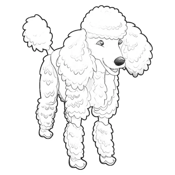 Skizze Cartoon Hund Bauernhof Tier Isolierte Illustration Für Kinder — Stockfoto