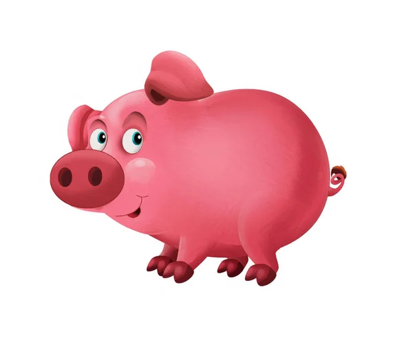 Cartoon Glückliches Schwein Schaut Und Lächelt Spaß Künstlerischen Stil Illustration — Stockfoto