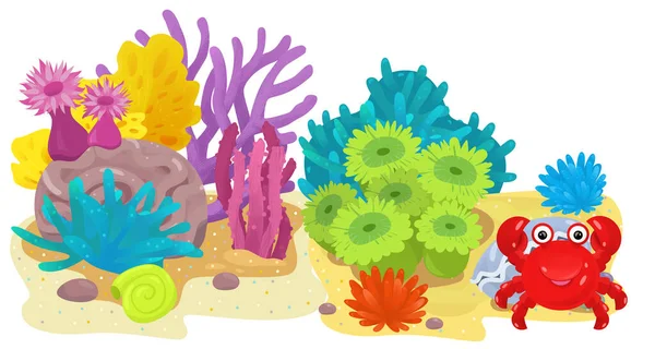Cartoon Szene Mit Korallenriff Garten Isolierte Element Illustration Für Kinder — Stockfoto