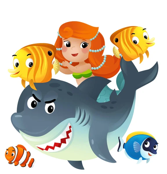 stock image cartoon scene with mermaid princess and shark swimming together having fun with coral reef fishes isolated illustration for children