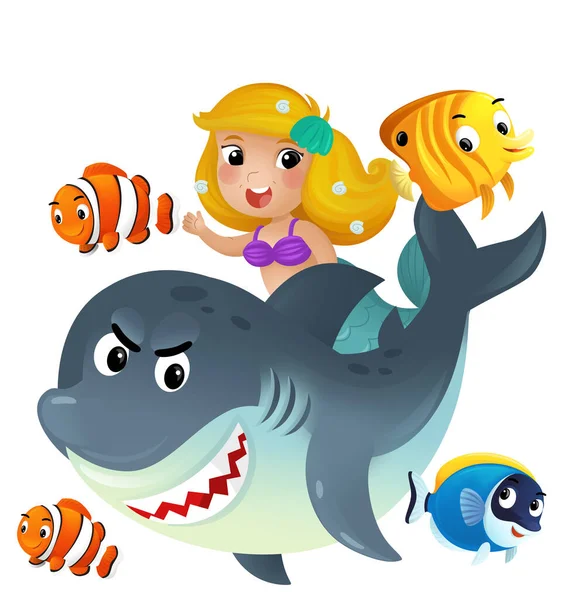 stock image cartoon scene with mermaid princess and shark swimming together having fun with coral reef fishes isolated illustration for children