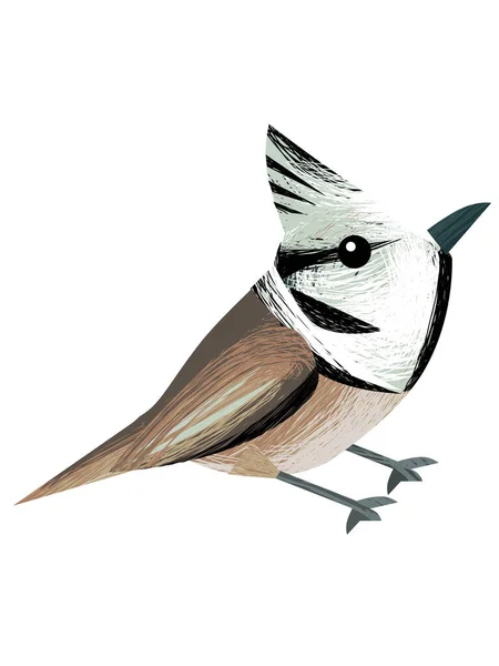 Cartone Animato Bellissimo Uccello Colorato Cercando Seduto Illustrazione Isolata Bambini — Foto Stock