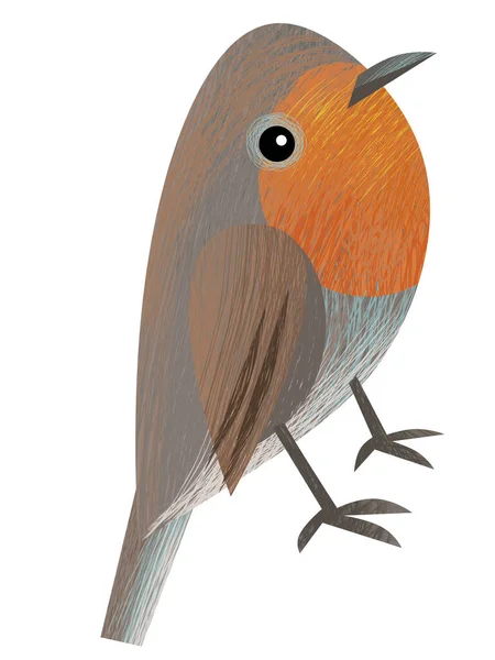 Cartoon Beautiful Colorful Bird Looking Sitting Isolated Illustration Kids — Stock Photo, Image