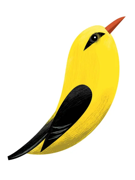 Dibujos Animados Hermoso Pájaro Colorido Mirando Sentado Ilustración Aislada Para —  Fotos de Stock
