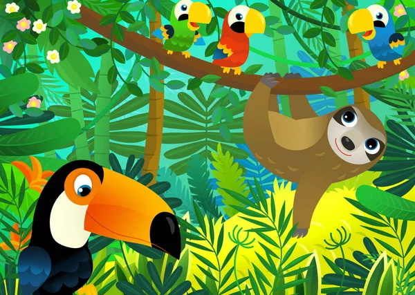 与丛林和动物在一起的卡通场景 以及为孩子们提供的可教鸟类图解 — 图库照片