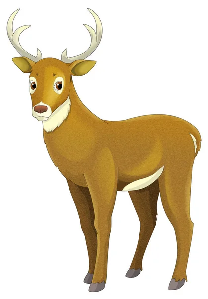 子供のためのイラストの黄色いストライプ上の野生動物角の鹿ローと漫画のシーン — ストック写真