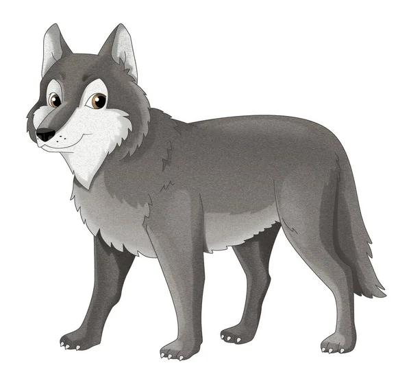 Dibujos Animados Lobo Animal Salvaje Perro Ilustración Aislada Para Niños —  Fotos de Stock