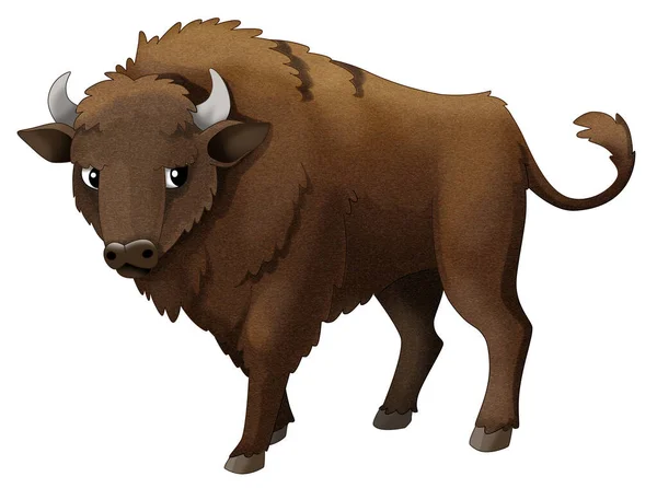 Dessin Animé Animal Sauvage Bison Aurochs Illustration Isolée Pour Les — Photo