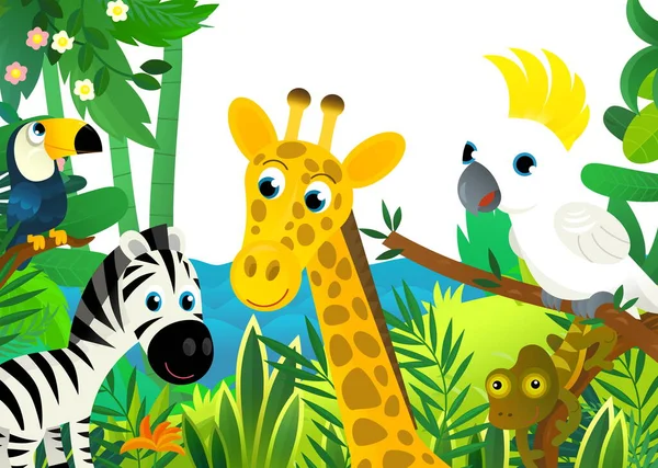 与丛林 动物和鹦鹉鸟在一起的卡通场景作为孩子们的画框 — 图库照片