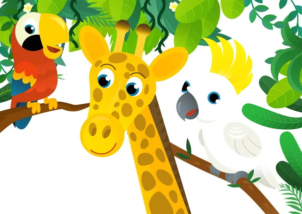 Cartoon Scene Met Jungle Dieren Papegaai Vogel Samen Als Kader — Stockfoto