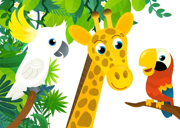 cartoon scene with jungle and animals and parrot bird being together as frame illustration for kids