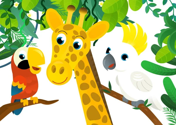 Escena Dibujos Animados Con Selva Los Animales Pájaro Loro Estar —  Fotos de Stock