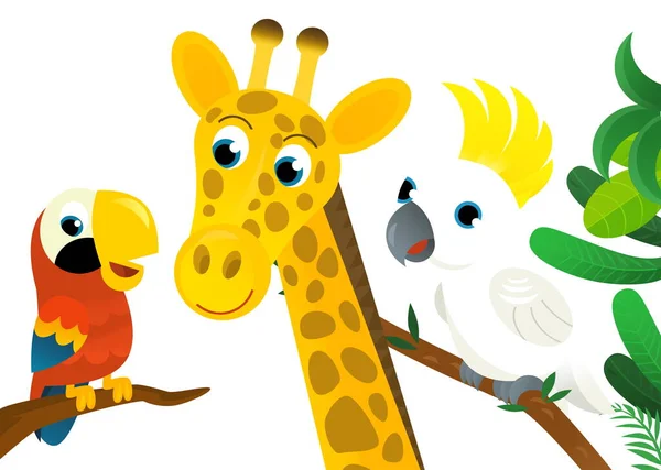 Escena Dibujos Animados Con Selva Los Animales Pájaro Loro Estar —  Fotos de Stock