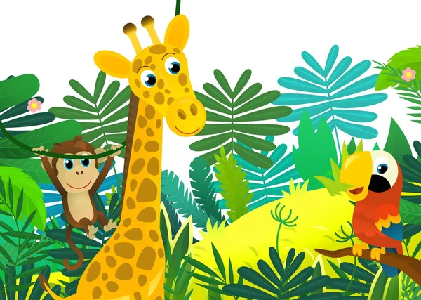 cartoon scene with jungle and animals and parrot bird being together as frame illustration for kids