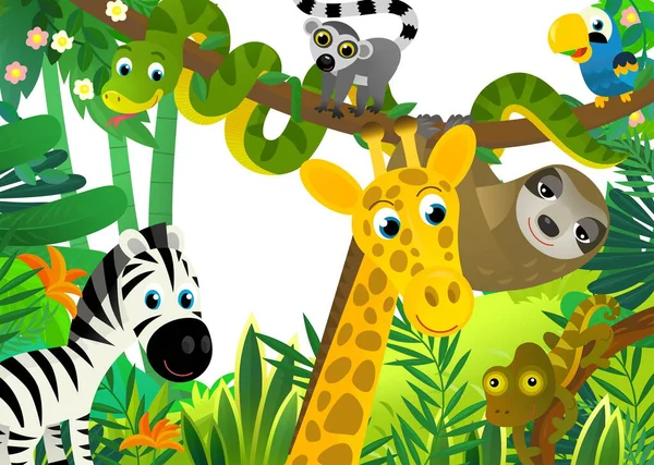 与丛林 动物和鹦鹉鸟在一起的卡通场景作为孩子们的画框 — 图库照片