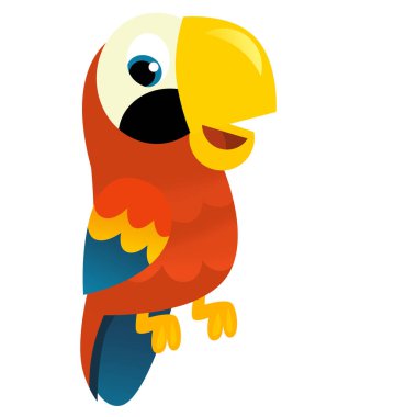 Çocuklar için beyaz arka planda çizgi film hayvan papağanı