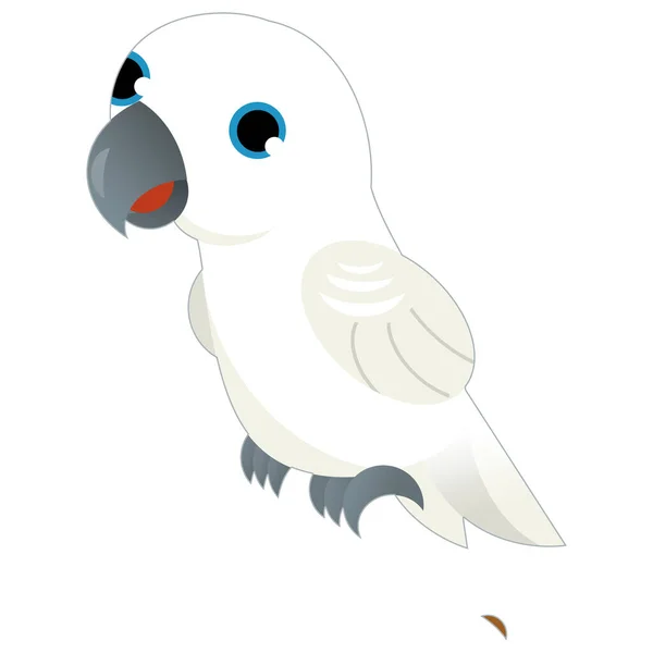 Dibujos Animados Animal Pájaro Loro Blanco Sobre Fondo Blanco Ilustración —  Fotos de Stock
