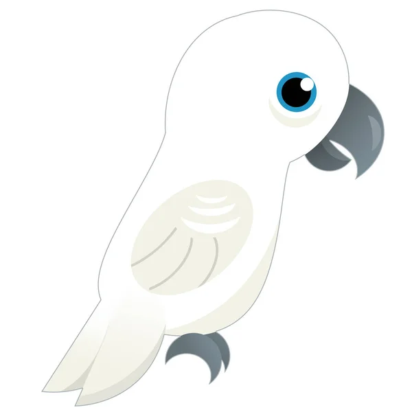 Karikatura Zvíře Pták Bílý Papoušek Bílém Pozadí Ilustrace Pro Děti — Stock fotografie