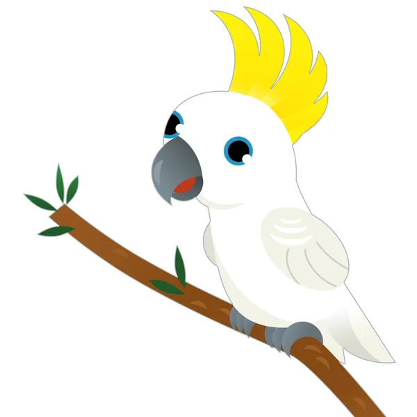 Cartoon animal bird white parrot on white background illustration for kids