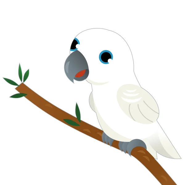 Dibujos Animados Animal Pájaro Loro Blanco Sobre Fondo Blanco Ilustración —  Fotos de Stock