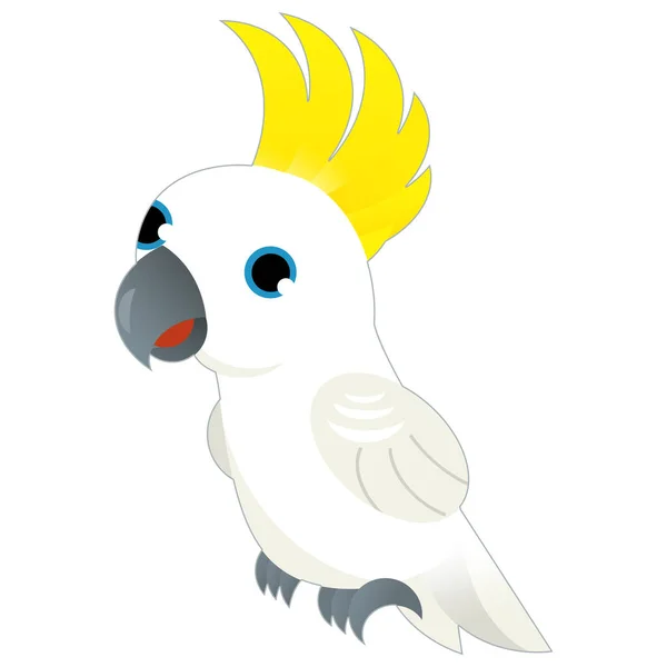 Cartoon animal bird white parrot on white background illustration for kids