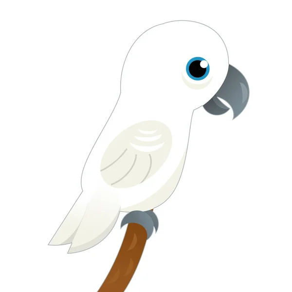 Tekenfilm Dier Vogel Wit Papegaai Witte Achtergrond Illustratie Voor Kinderen — Stockfoto