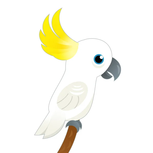 Karikatura Zvíře Pták Bílý Papoušek Bílém Pozadí Ilustrace Pro Děti — Stock fotografie