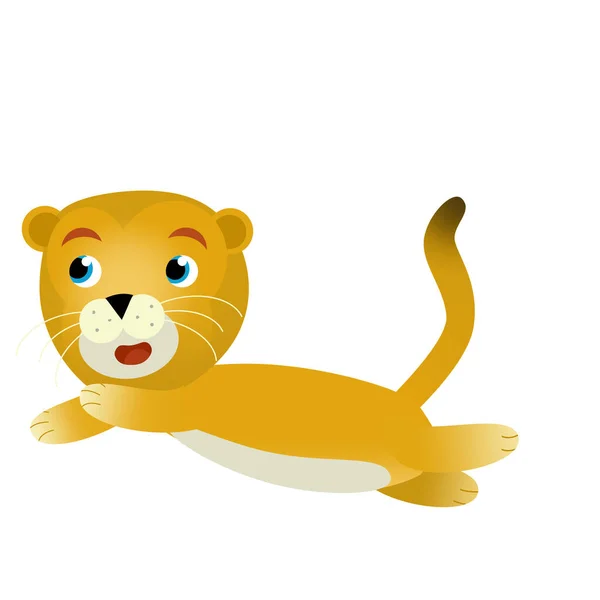 cartoon scene with happy cat lion lioness on white background - safari illustration for kids