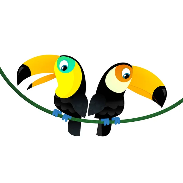 Cartoon animal happy tropical bird toucan on white background illustration for kids