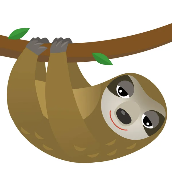 cartoon scene with animal sloth on white background illustration for kids