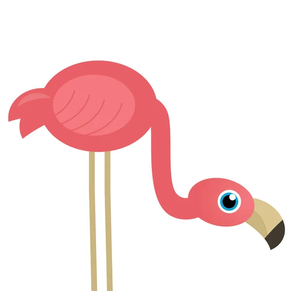 Cartoon Animal Happy Tropical Bird Flamingo White Background Illustration Kids — Stock Photo, Image