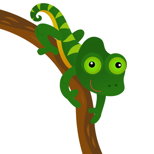 Desenho Animado Americano Feliz Engraçado Pequeno Lagarto Camaleão Gecko Isolado — Fotografia de Stock