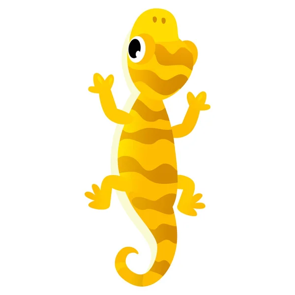 Cartoon American Happy Funny Tiny Lizard Chameleon Gecko Isolated White — Stock Photo, Image