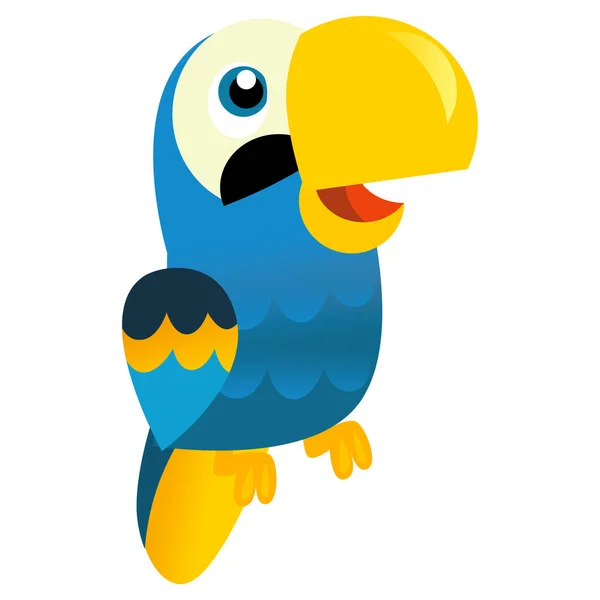 Papagaio Pássaro Animal Desenhos Animados Ilustração Fundo Branco Para Crianças — Fotografia de Stock
