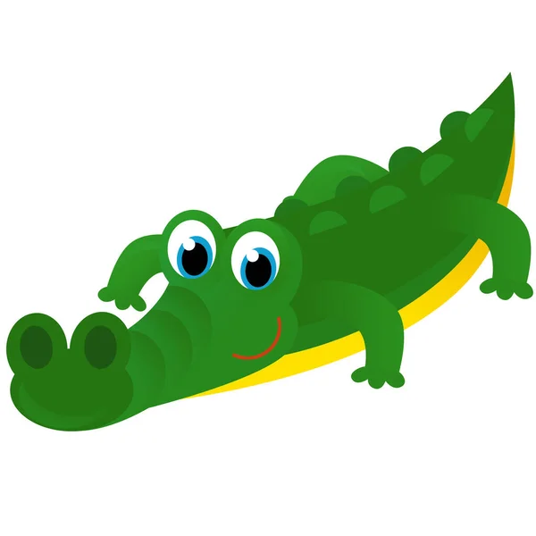 Rajzfilm Amerikai Boldog Vicces Trópusi Aligátor Krokodil Elszigetelt Fehér Háttér — Stock Fotó