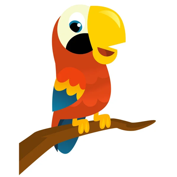 Cartoon animal bird parrot on white background illustration for kids