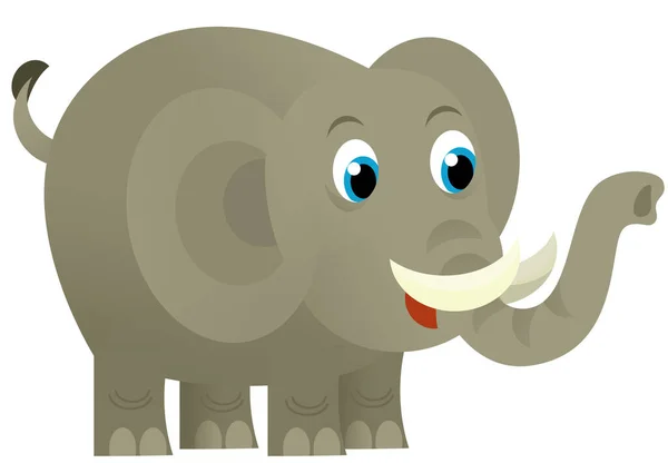 在白色背景上的卡通野生动物快乐的小大象 给孩子们的说明 — 图库照片
