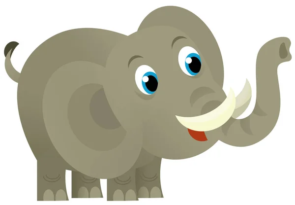 Cartoon Wildes Tier Glücklich Junger Elefant Auf Weißem Hintergrund Illustration — Stockfoto
