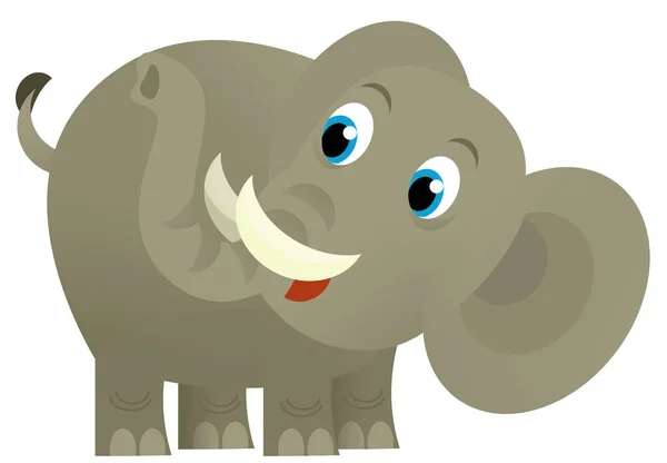 Мультяшна Дика Тварина Щасливий Молодий Слон Білому Тлі Ілюстрація Дітей — стокове фото