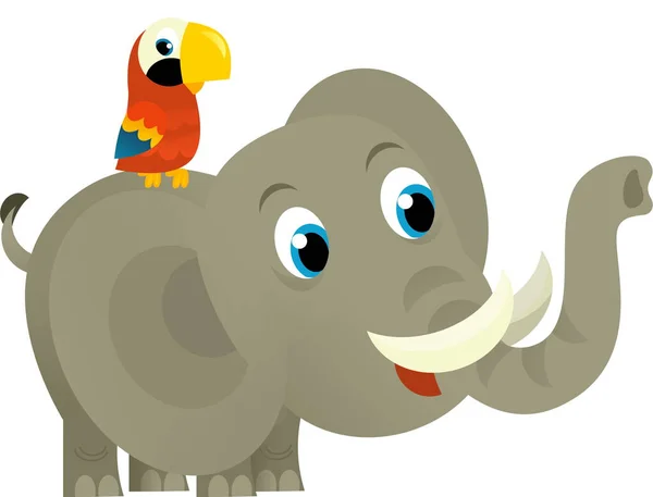 Dibujos Animados Animal Salvaje Feliz Elefante Joven Loro Sobre Fondo — Foto de Stock