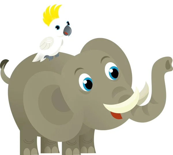 Çizgi Filmdeki Vahşi Hayvan Mutlu Genç Fil Beyaz Arka Planda — Stok fotoğraf