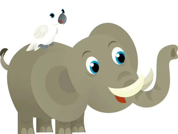 Cartoon wild animal happy young elephant and parrot on white background - illustration for the kids