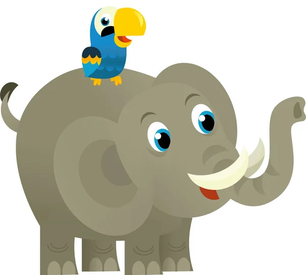 Мультфильм Диком Животном Счастливом Молодом Слоне Попугае Белом Фоне Иллюстрация — стоковое фото