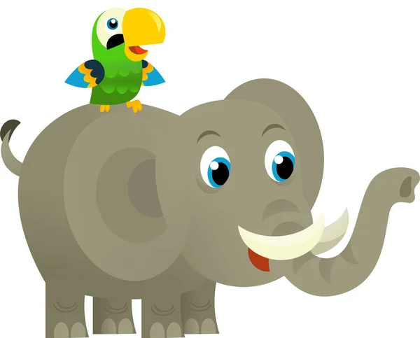 Cartoon Wild Animal Happy Young Elephant Parrot White Background Illustration — Stock Photo, Image