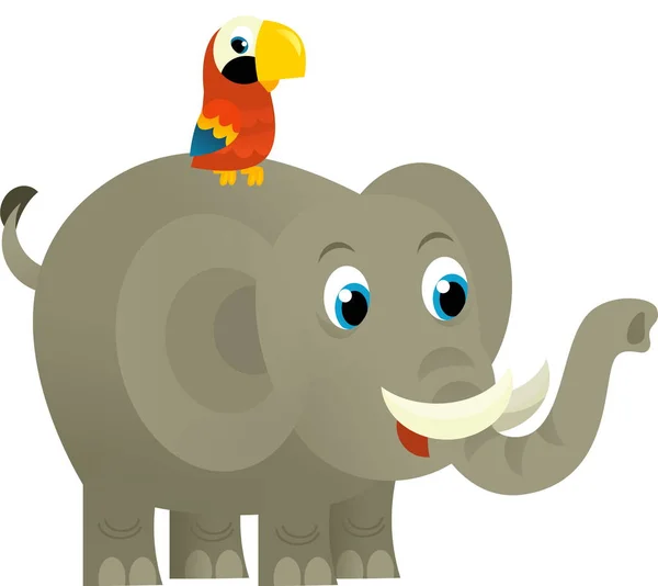 Мультяшна Дика Тварина Щасливий Молодий Слон Папуга Білому Тлі Ілюстрація — стокове фото