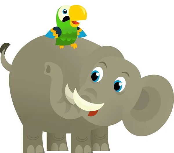Cartoon wild animal happy young elephant and parrot on white background - illustration for the kids
