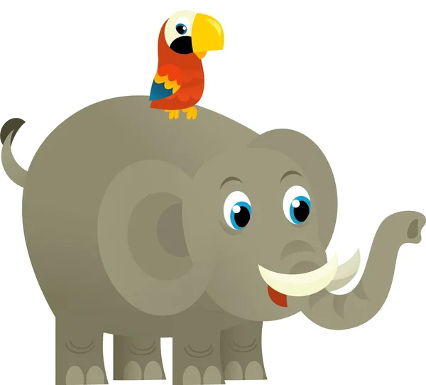 Cartoon Wild Animal Happy Young Elephant Parrot White Background Illustration — Stock Photo, Image