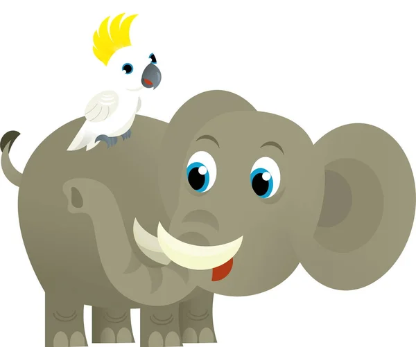 Γελοιογραφία Άγριο Ζώο Χαρούμενος Νεαρός Ελέφαντας Και Παπαγάλος Λευκό Φόντο — Φωτογραφία Αρχείου