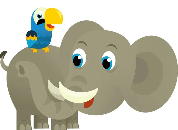 Мультфильм Диком Животном Счастливом Молодом Слоне Попугае Белом Фоне Иллюстрация — стоковое фото