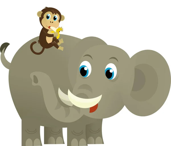 Cartoon wild animal happy young elephant on white background - illustration for the kids